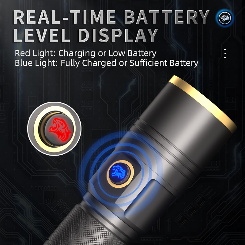 GS66 Premium Flashlights