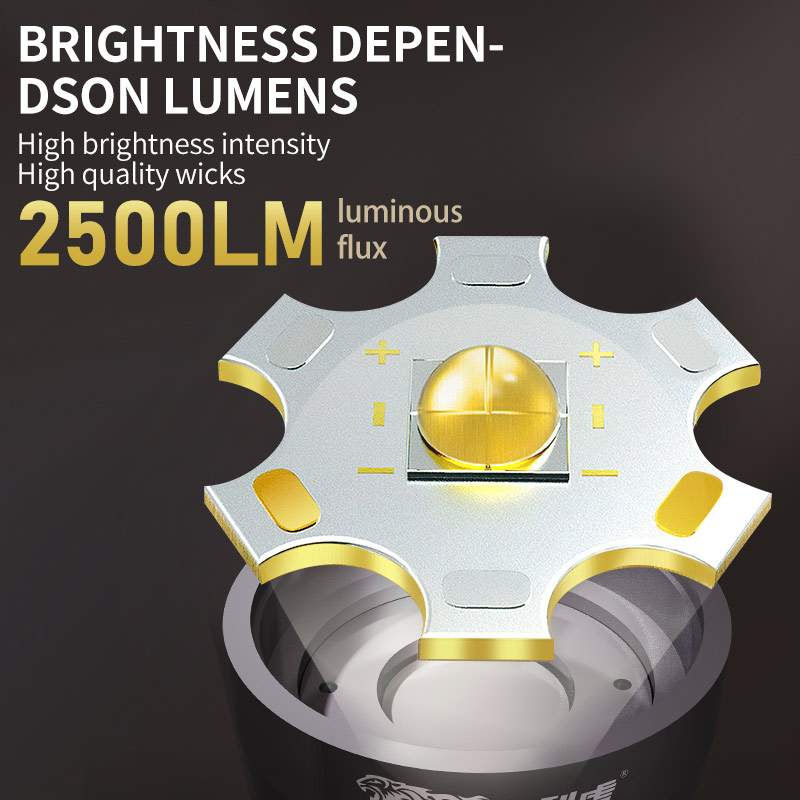 C12-1 High Power Flashlight