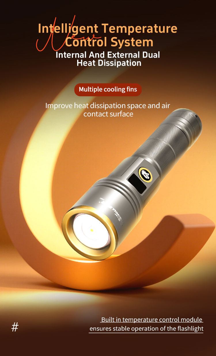 DS81详情（英文）_08