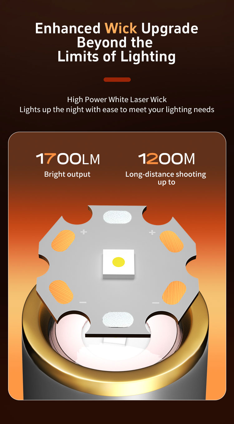 DS81详情（英文）_02