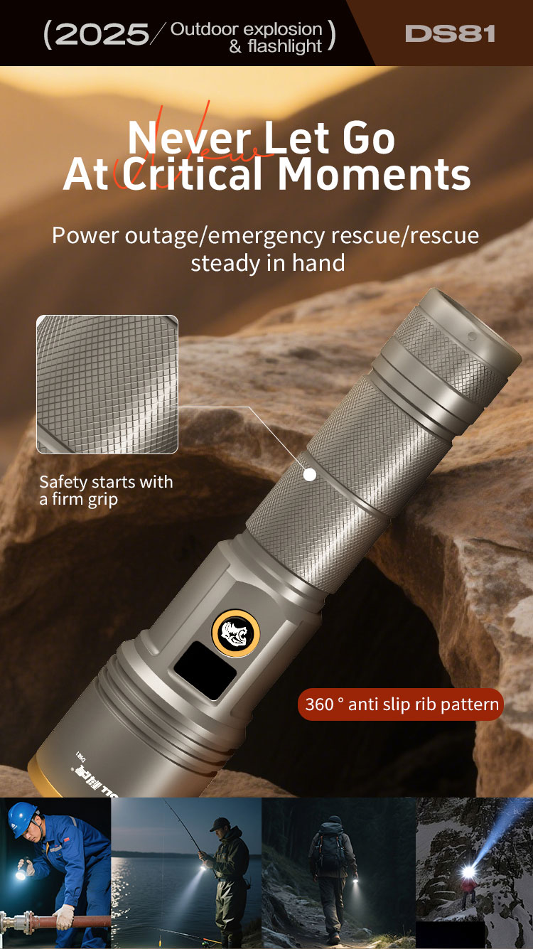 DS81详情（英文）_10