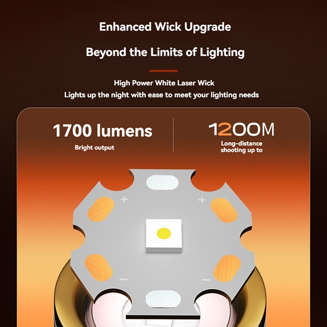 DS81 Premium Flashlights