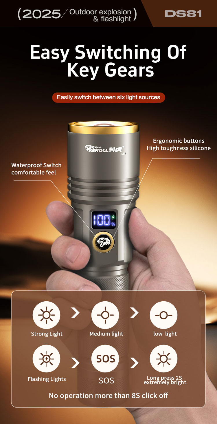 DS81详情（英文）_07